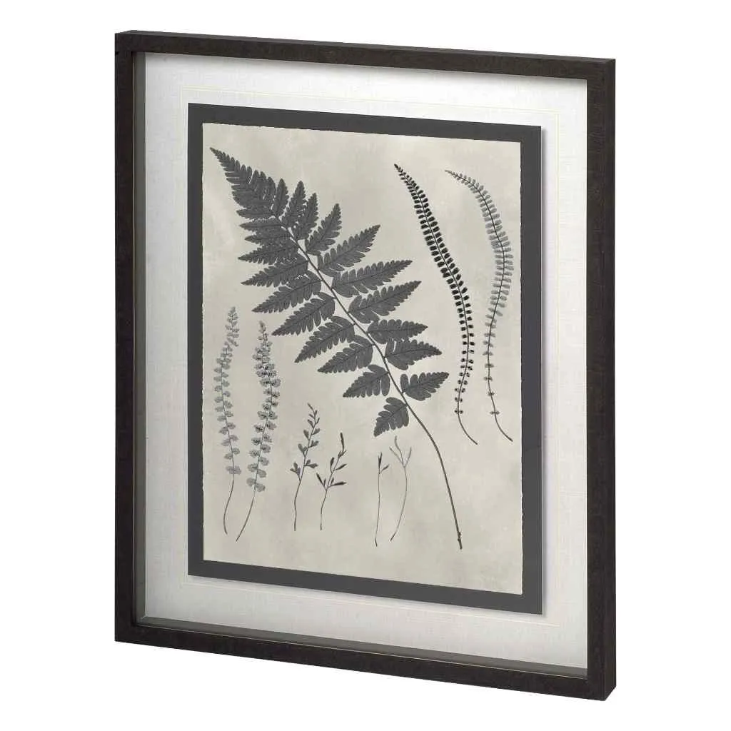 Vintage Fern Study