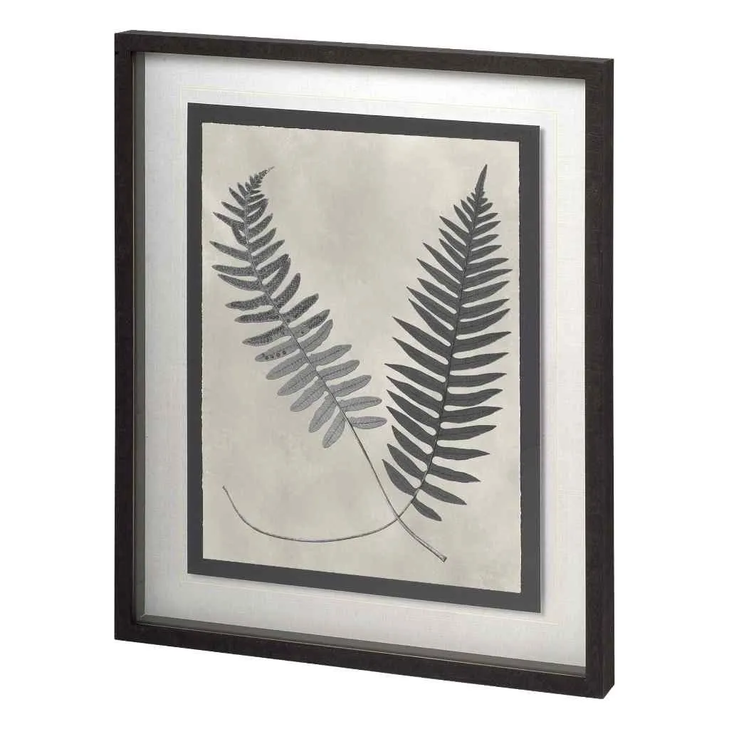 Vintage Fern Study